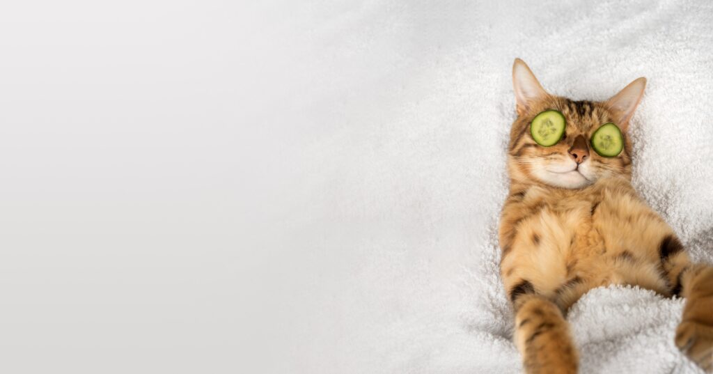 descanso reparador para la salud mental